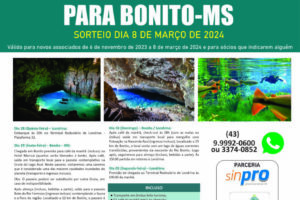 BONITO BONITO